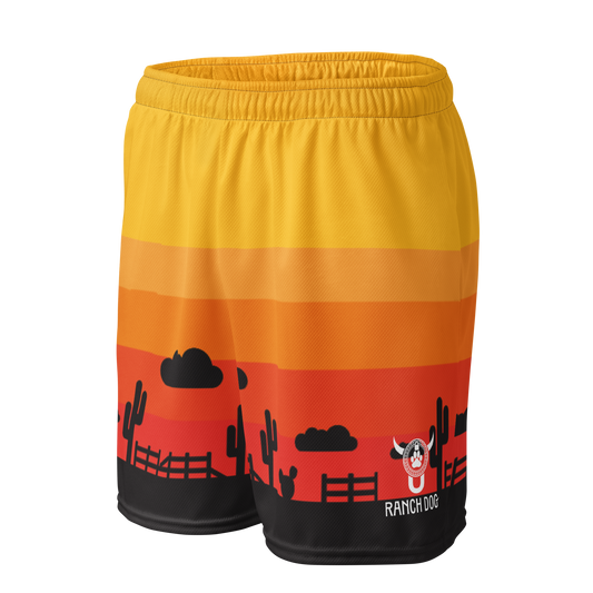 Sunset Mesh Shorts